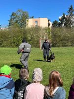 policie